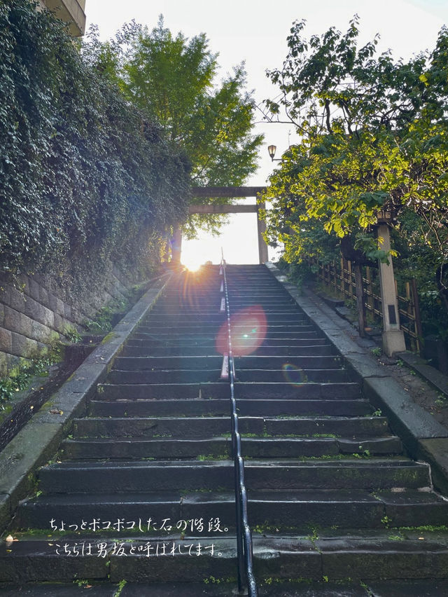 合格祈願の神社として有名⛩️湯島天満宮