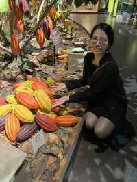 “Sweet Memories and Family Bonds at ROYCE’ Chocolate Factory in Tobetsu, Hokkaido, Japan”
