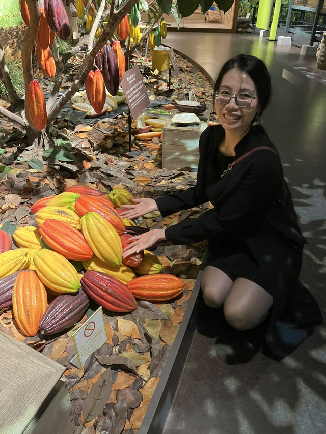 “Sweet Memories and Family Bonds at ROYCE’ Chocolate Factory in Tobetsu, Hokkaido, Japan”
