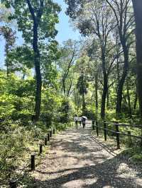 GWここにいこう！花畑【神奈川】