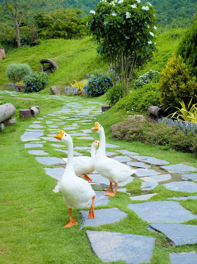 furry friends in the heart of Ratchaburi