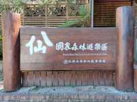 #八仙山國家森林遊樂區- 臺中市和平區