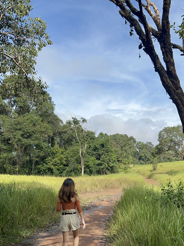 Khao Yai National Park