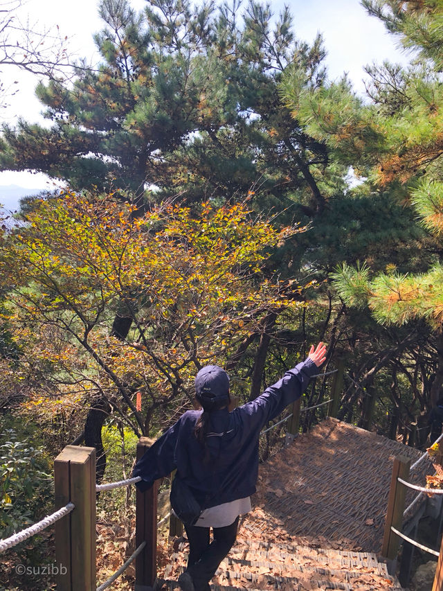 날좋을땐 등산이지, 경기도에서 가기 좋은 등산코스!