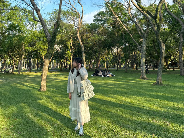 台北大安森林公園の繡球花仙境｜免費打卡＋偶遇松鼠小驚喜🐿️