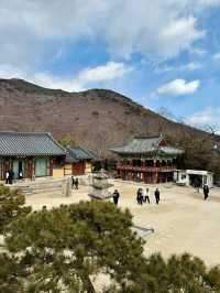 釜山梵魚寺｜繁華都市中的幽靜💫