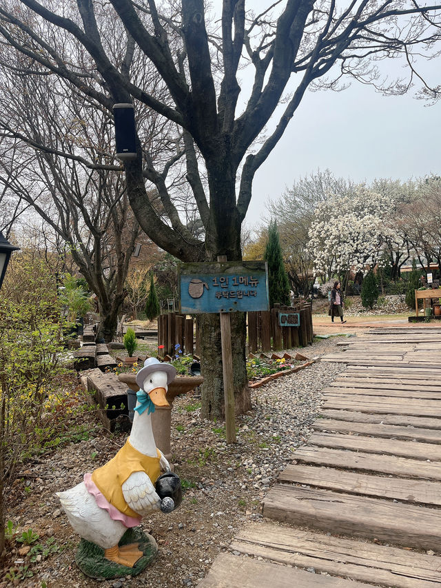 대형 식물원 같은 화성의 꽃놀이 명소 더 포레
