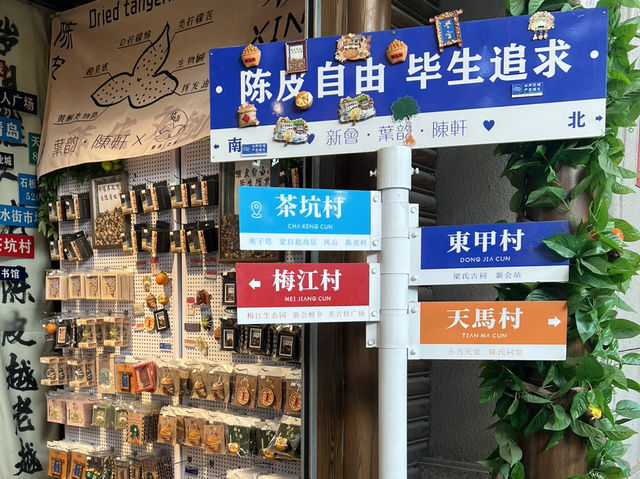 江門2天快閃 （續）