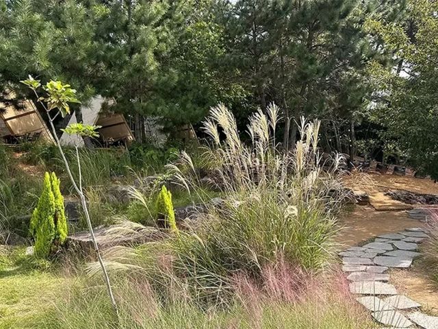 피읖카페