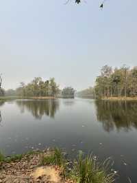 Drive to Twenty Thousand Lake (Bis Hazari Tal), Tikauli, Chitwan: A Wild Encounter