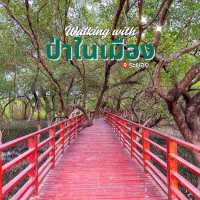 เดิน🚶ชิล ธรรมชาติ @ป่าในเมืองระยอง