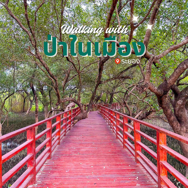 เดิน🚶ชิล ธรรมชาติ @ป่าในเมืองระยอง