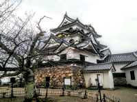 #彥根城-日本滋賀縣彥根市
