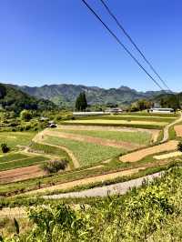 美麗的高千穗農業遺產
