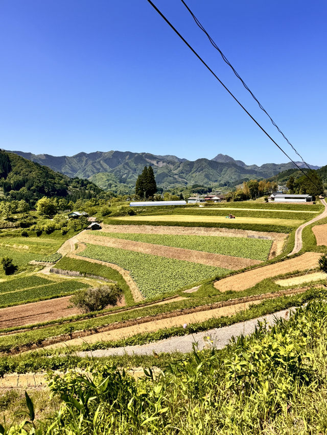 美麗的高千穗農業遺產