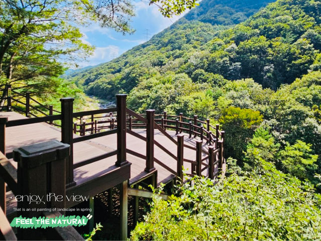 Retreat at Jangnyeongsan Natural Recreation Forest