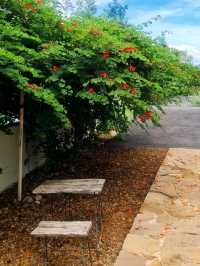 Oria Cafe Khaoyai