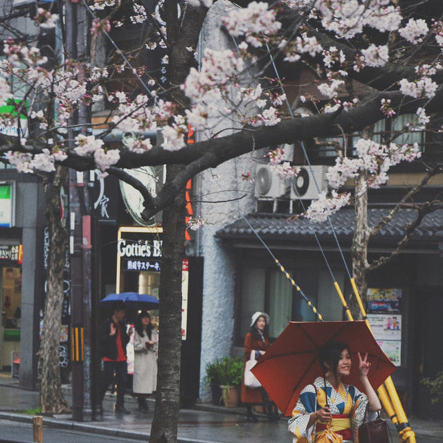 Kyoto – Where Every Blossom Tells a Story