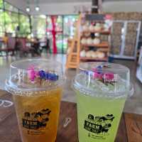 ฟาร์มเมล่อนลุงแดง ปทุมธานี 🍈📍