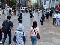 上海5日遊打卡路線
