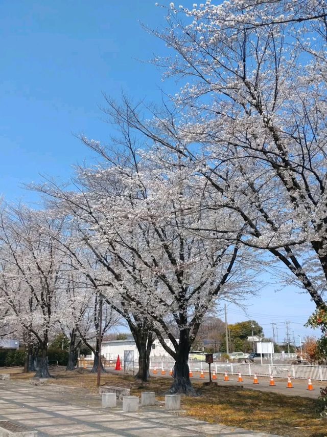 Honjō Multi-Purpose Park