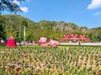 A Floral Wonderland Awaits