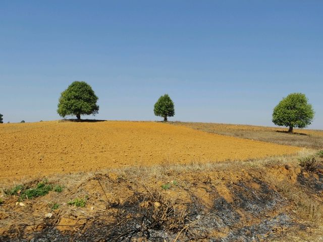 【ミャンマー🇲🇲】オレンジ広がるカロー