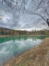 Biei – Rolling Hills and Painted Fields in Hokkaido’s Heartland