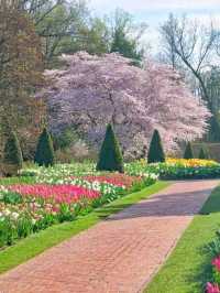 Longwood Gardens – A Living Canvas in Pennsylvania, USA