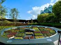 Gardens by the Bay – Singapore’s Futuristic Eden