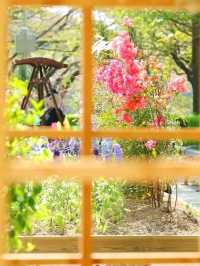 Gyeonggi-do: South Korea's Hidden Gem Beyond Seoul