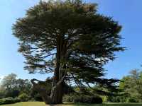 A Hidden Gem in the English Countryside – Farnborough Hall, National Trust