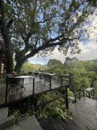 Peace, Peaks & Pure Vibes – Kachong Hill Escape