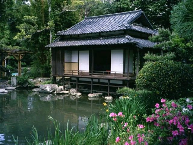 Uwajima – Pearls, Castles, and Coastal Charm in Ehime Prefecture