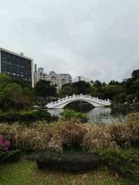 Tranquil Vibes at the National Concert Hall Garden