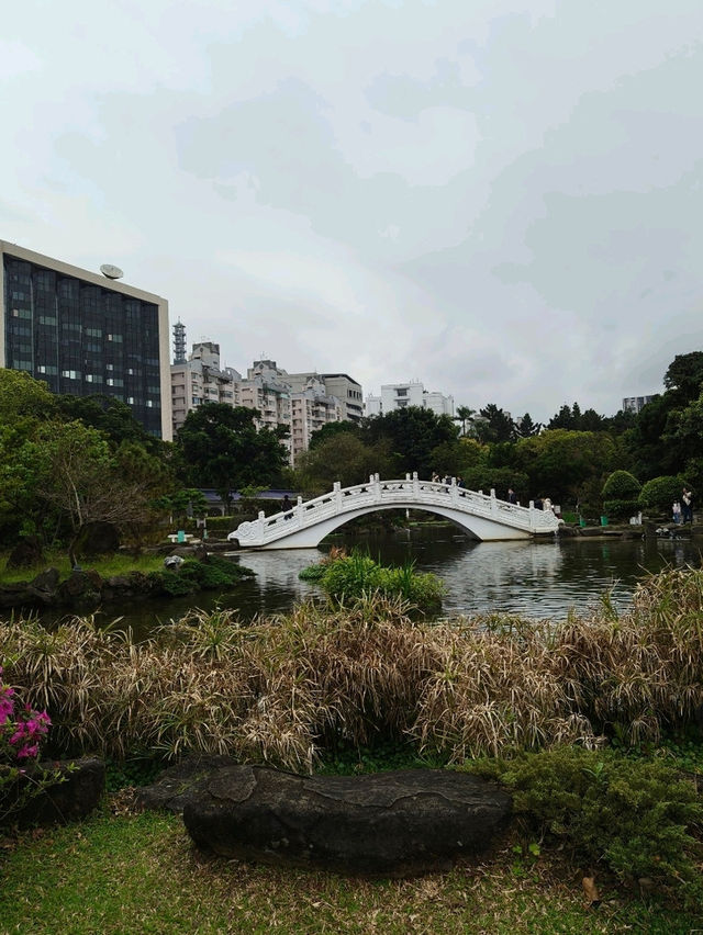 Tranquil Vibes at the National Concert Hall Garden