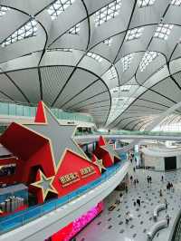 하늘에서 피어난 거대한 꽃, 베이징 다싱공항