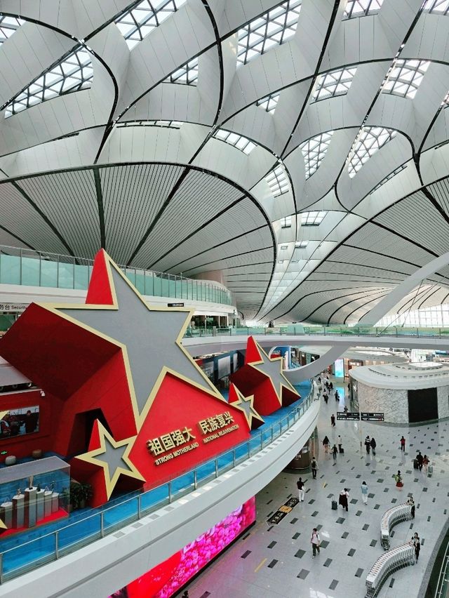 하늘에서 피어난 거대한 꽃, 베이징 다싱공항