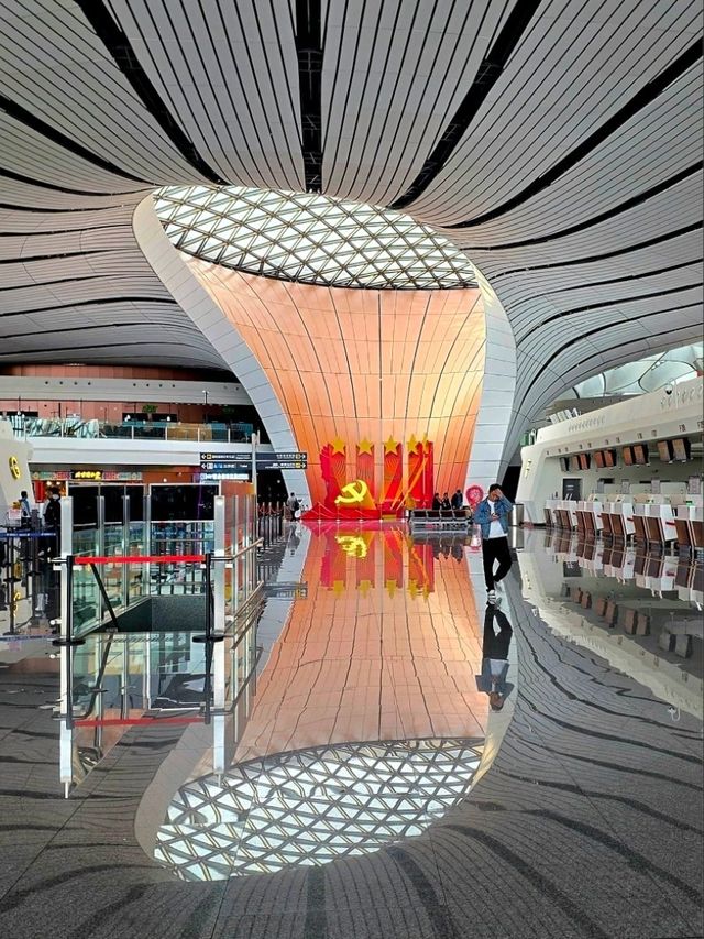 하늘에서 피어난 거대한 꽃, 베이징 다싱공항