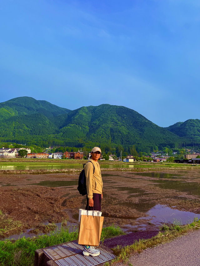 由布院東西山峰