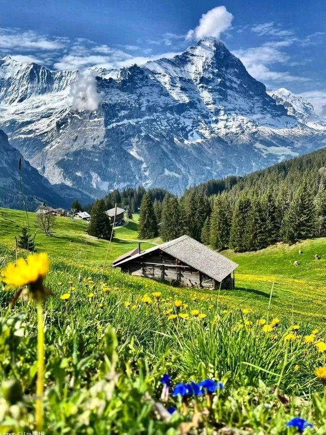 Grindelwald – A Fairytale Escape into the Swiss Alps