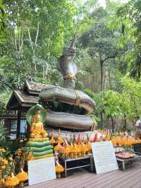 สายมูเชียงใหม่ ห้ามพลาด ✨