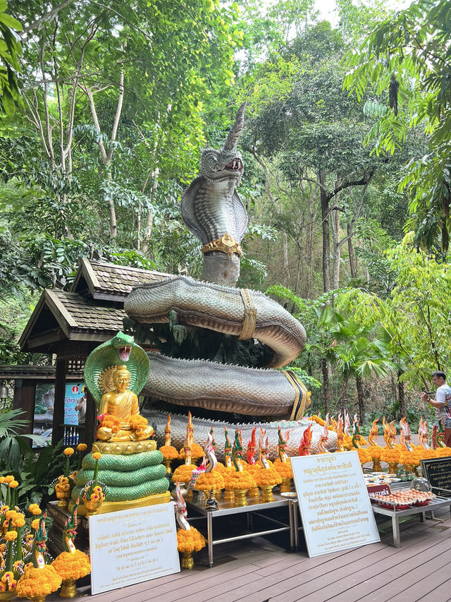 สายมูเชียงใหม่ ห้ามพลาด ✨