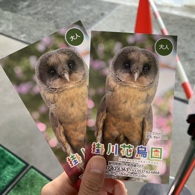 たくさんの種類の鳥に間近で会える動物園🕊️🤍