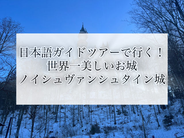 【安心安全なオプショナルツアーがオススメ！】ドイツの歴史を学べる古城巡り