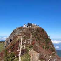 🇯🇵【愛媛県】こんなところに！石鎚神社中宮成就社⛩️(^ ^)