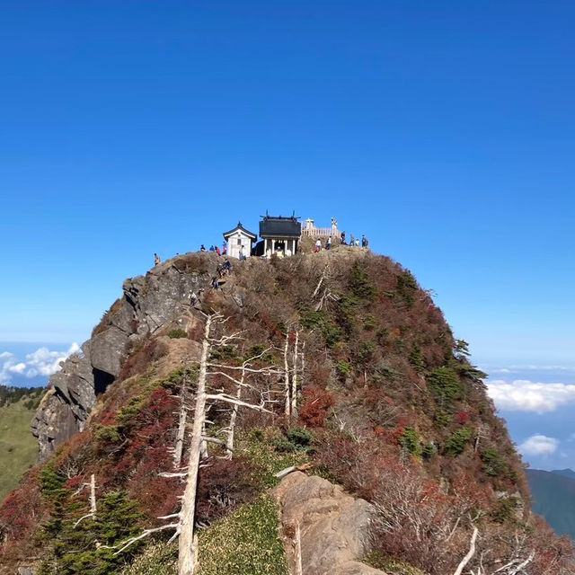 🇯🇵【愛媛県】こんなところに！石鎚神社中宮成就社⛩️(^ ^)