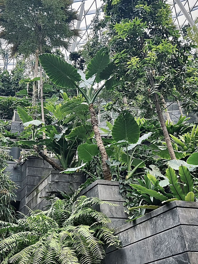 สิงคโปร์ทริปนี้มีแต่ความฟู🇸🇬