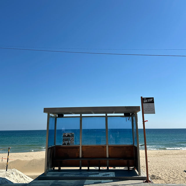 韓国🇰🇷 GWの江陵(カンヌン)日帰り旅行✨スケジュールと費用まとめ！