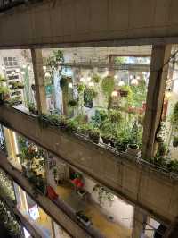 The Cafe Apartment